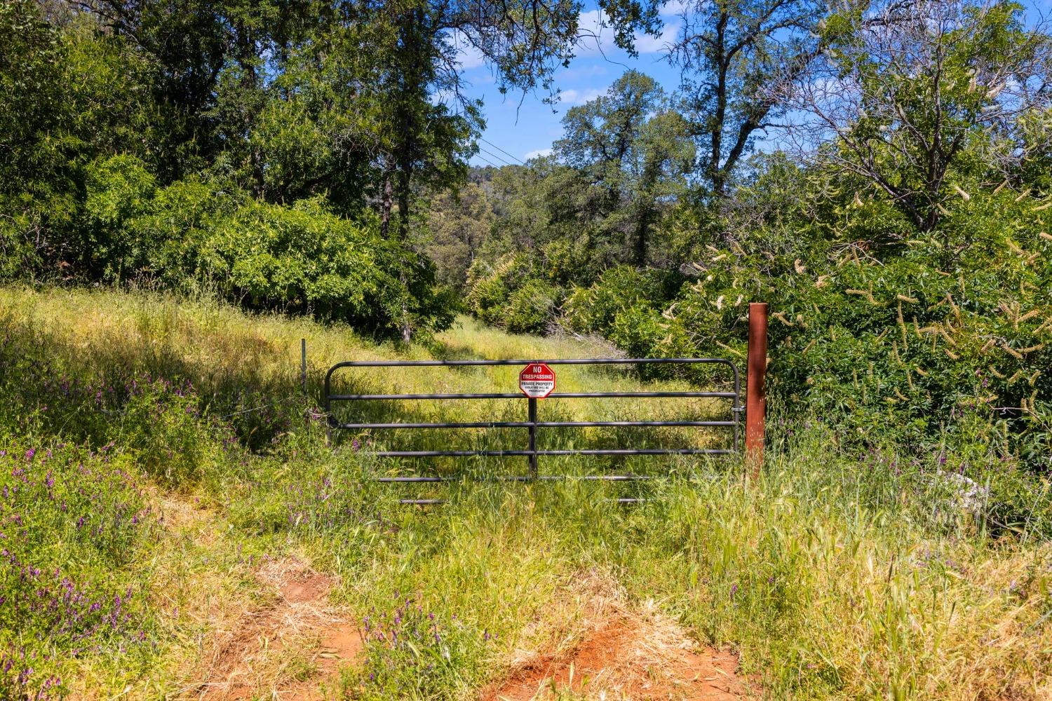 Detail Gallery Image 9 of 54 For 18085 Lime Rock Dr, Sonora,  CA 95370 - – Beds | – Baths