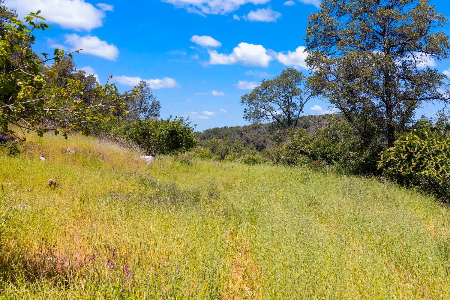 Detail Gallery Image 1 of 54 For 18085 Lime Rock Dr, Sonora,  CA 95370 - – Beds | – Baths