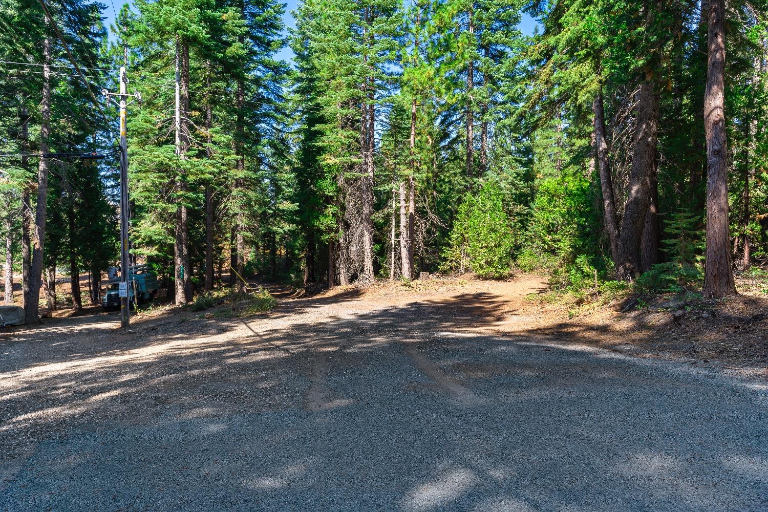 Kearsarge Mill Road, Emigrant Gap, California image 38