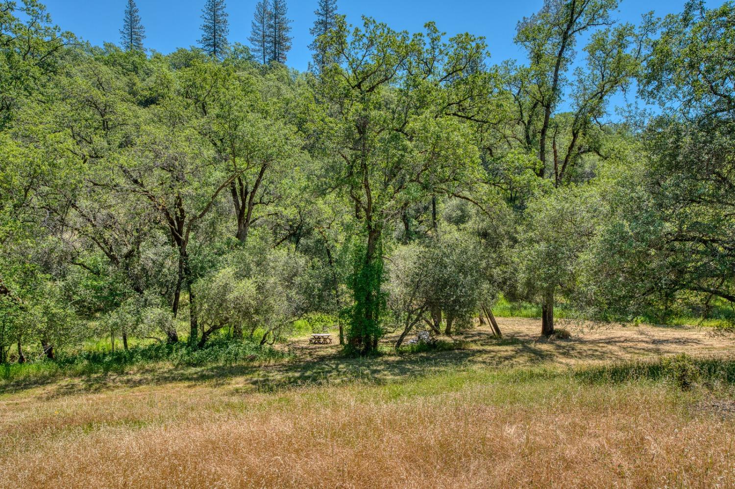 Detail Gallery Image 41 of 58 For 19500 Moroni Ln, Grass Valley,  CA 95949 - 3 Beds | 1/1 Baths