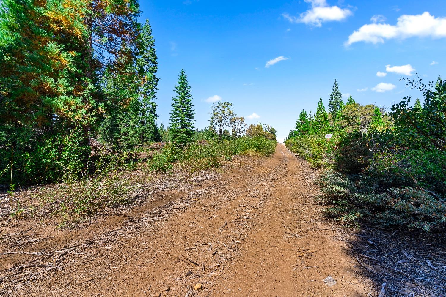 Detail Gallery Image 31 of 69 For 0 Kearsarge Mill Rd, Emigrant Gap,  CA 95715 - – Beds | – Baths