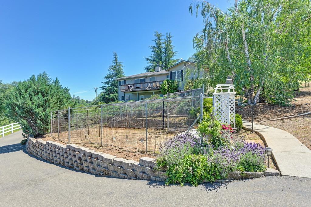 Detail Gallery Image 74 of 92 For 3333 Costalotta Dr, Placerville,  CA 95667 - 4 Beds | 3 Baths