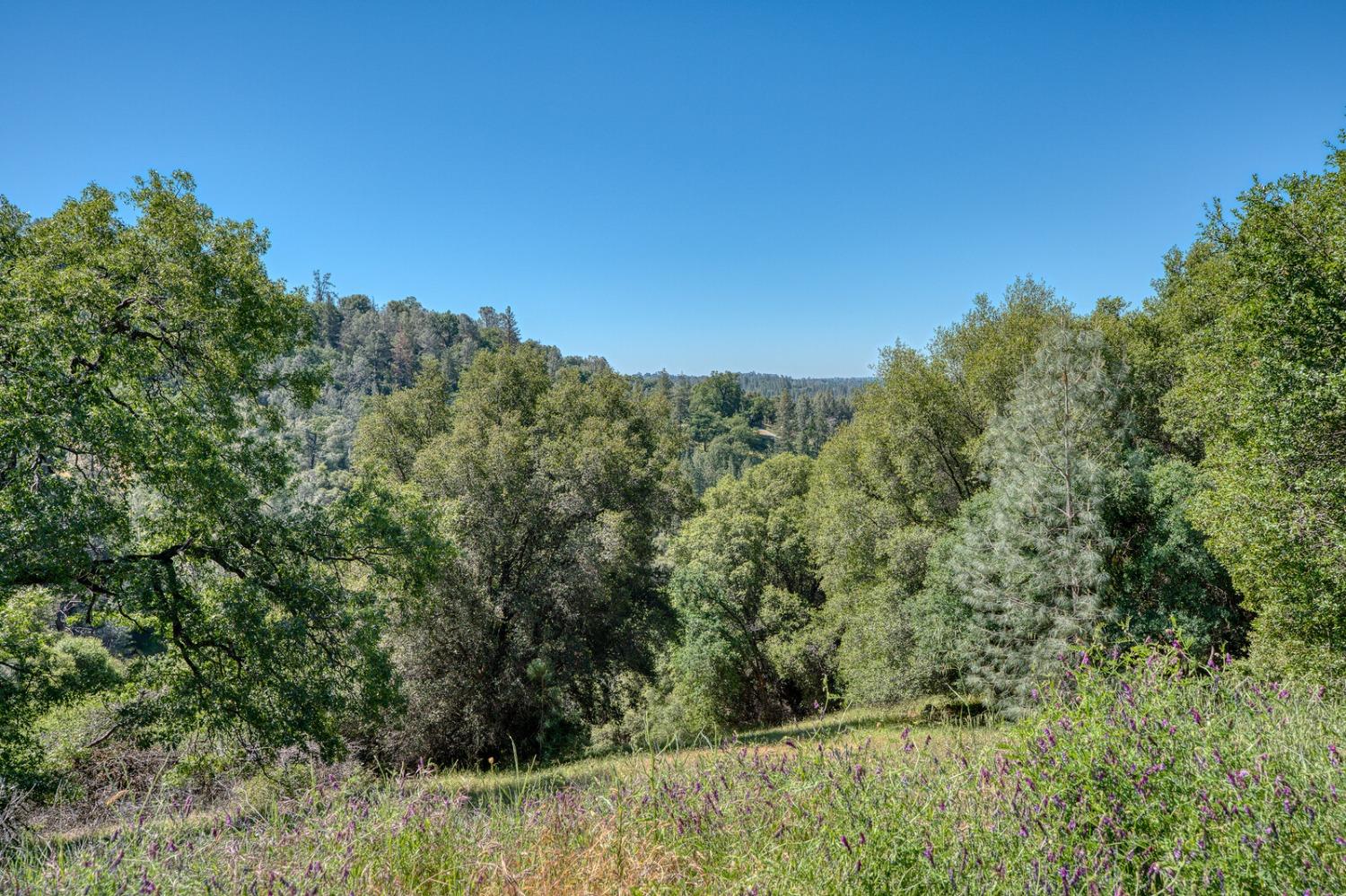 Detail Gallery Image 36 of 58 For 19500 Moroni Ln, Grass Valley,  CA 95949 - 3 Beds | 1/1 Baths