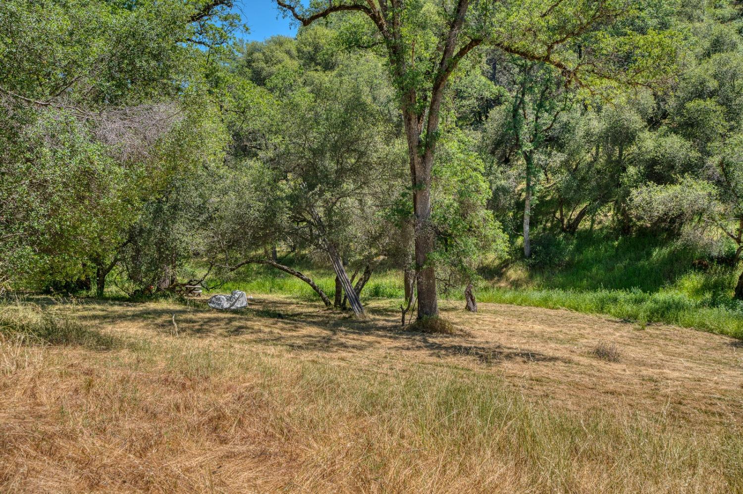 Detail Gallery Image 40 of 58 For 19500 Moroni Ln, Grass Valley,  CA 95949 - 3 Beds | 1/1 Baths