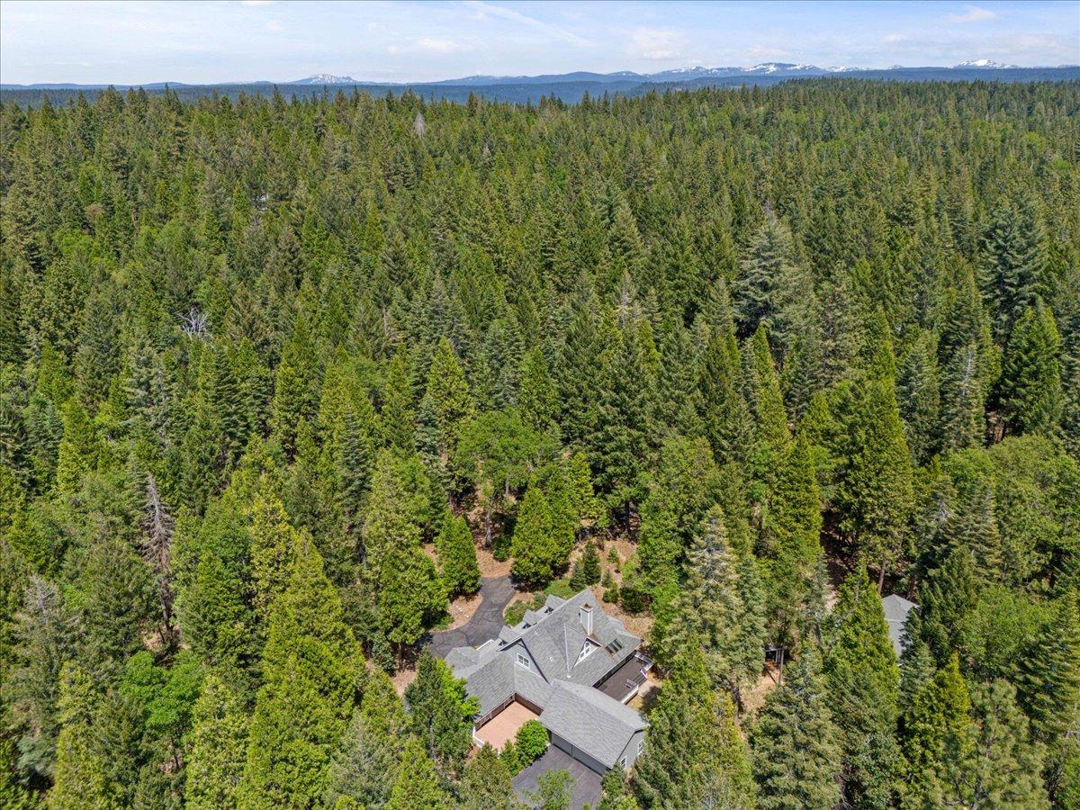 Detail Gallery Image 48 of 52 For 13900 Red Dog Rd, Nevada City,  CA 95959 - 3 Beds | 2/1 Baths