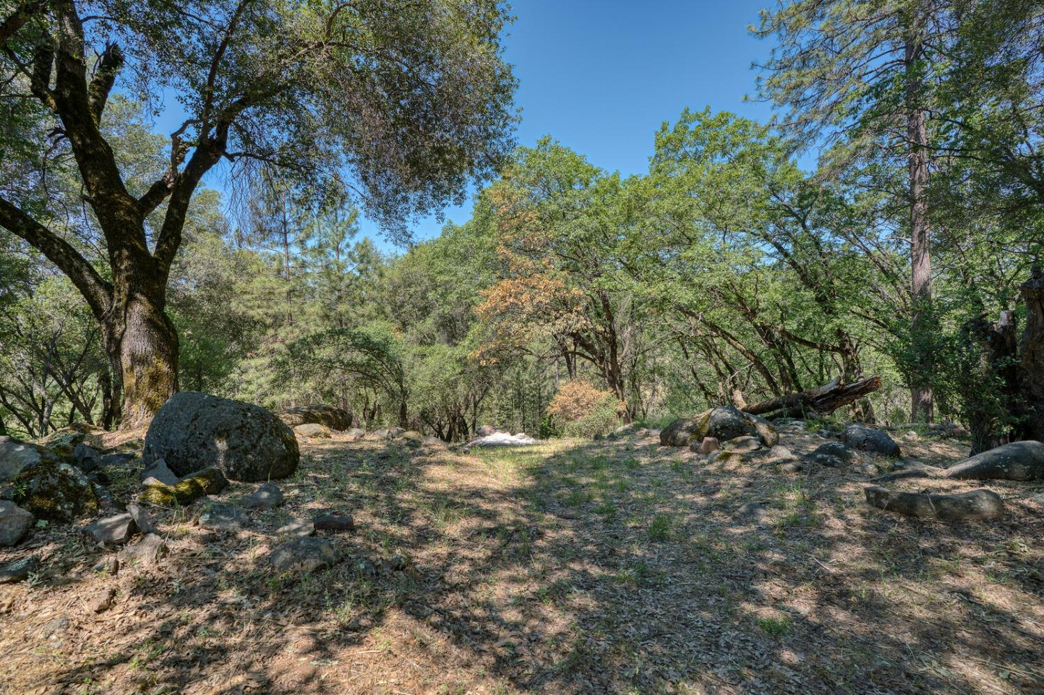 Detail Gallery Image 38 of 58 For 19500 Moroni Ln, Grass Valley,  CA 95949 - 3 Beds | 1/1 Baths