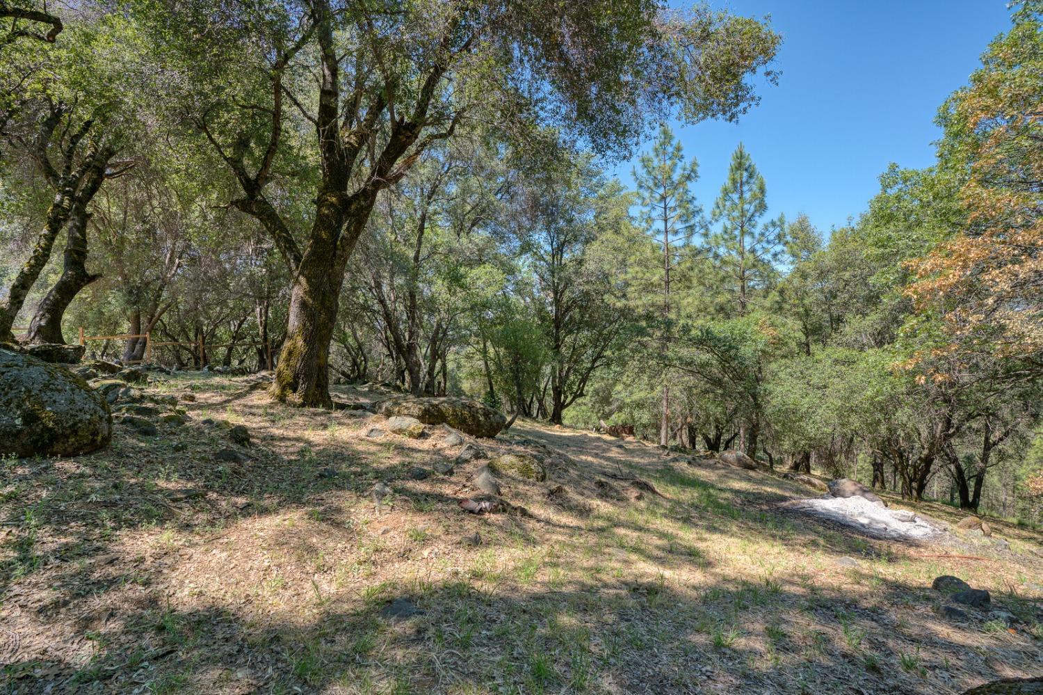 Detail Gallery Image 37 of 58 For 19500 Moroni Ln, Grass Valley,  CA 95949 - 3 Beds | 1/1 Baths