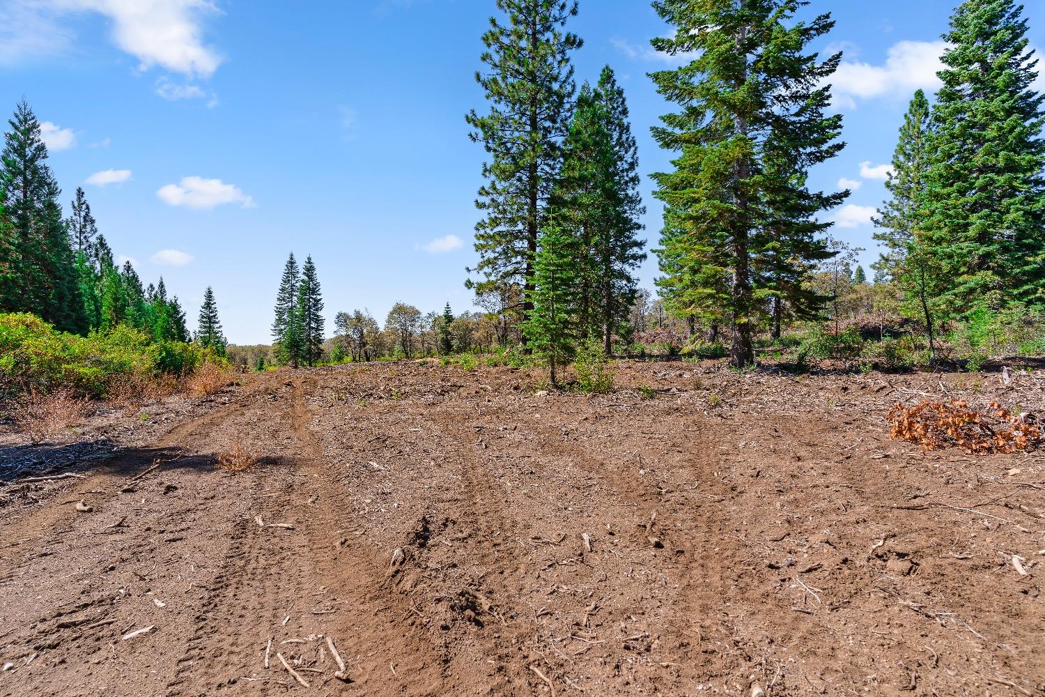 Detail Gallery Image 35 of 69 For 0 Kearsarge Mill Rd, Emigrant Gap,  CA 95715 - – Beds | – Baths