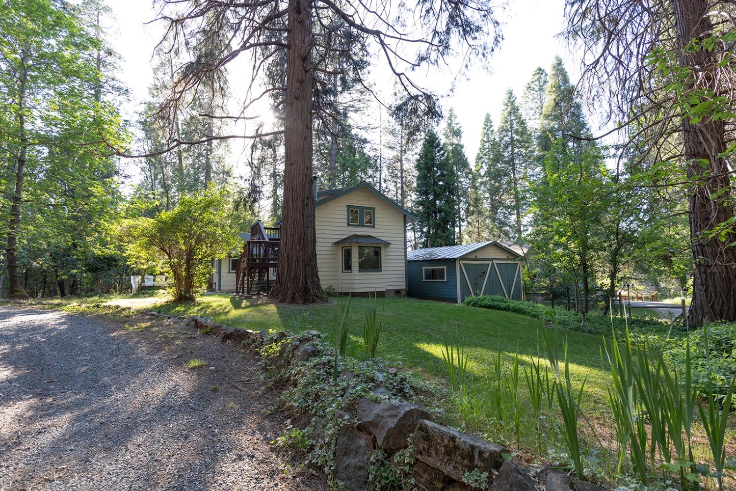 Detail Gallery Image 8 of 44 For 12318 Shady Ln, Nevada City,  CA 95959 - 2 Beds | 2 Baths