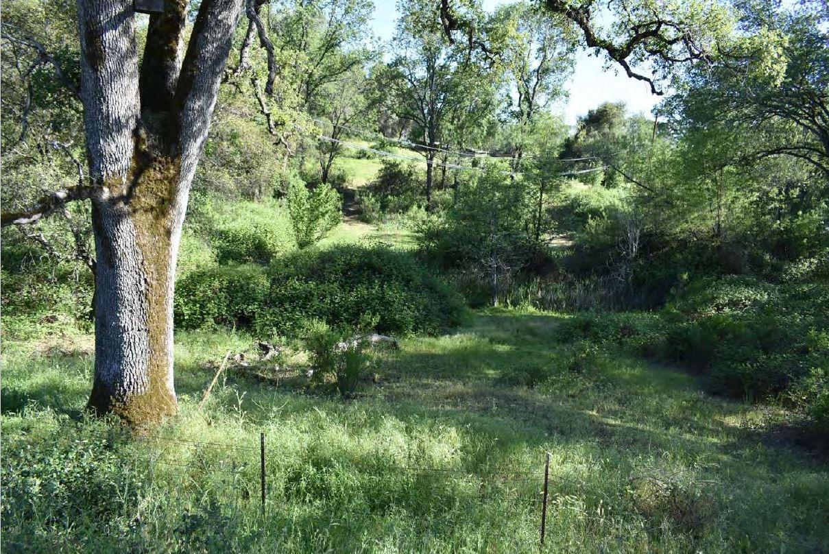 Hillaire Road, Rough and Ready, California image 25