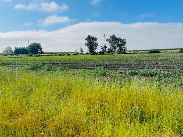 S Butte Road, Meridian, California image 4