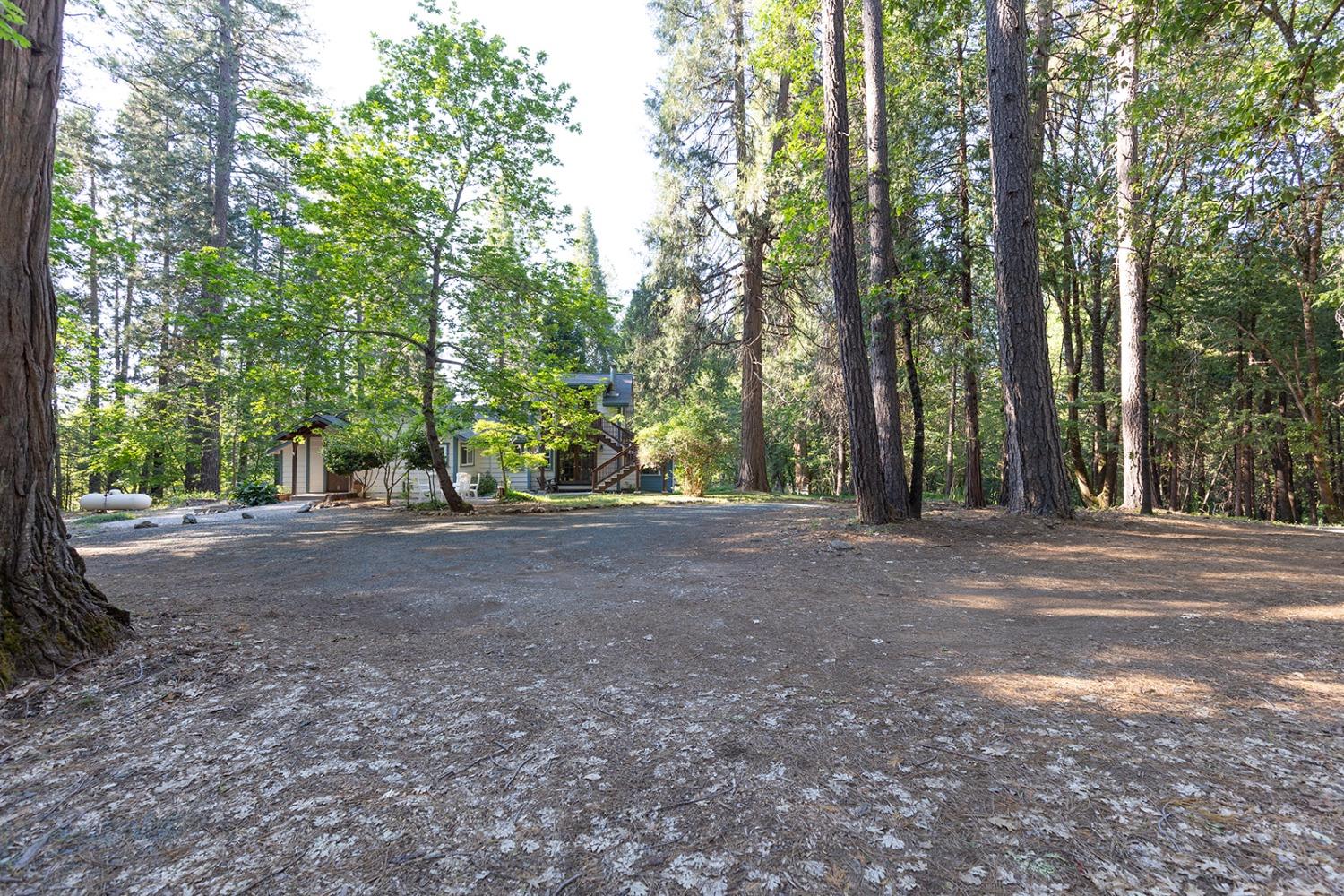 Detail Gallery Image 3 of 44 For 12318 Shady Ln, Nevada City,  CA 95959 - 2 Beds | 2 Baths