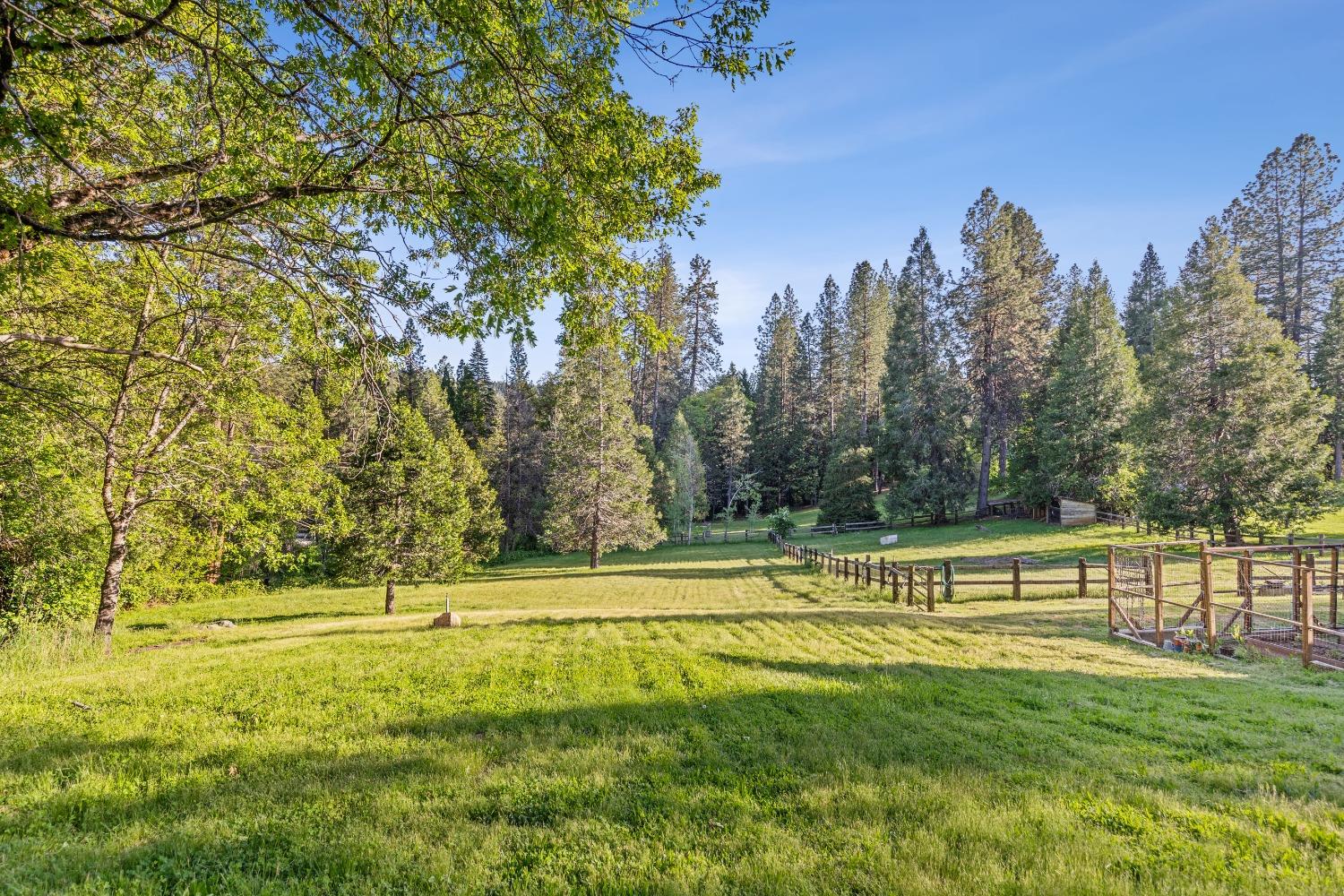 Detail Gallery Image 63 of 79 For 11417 Red Dog Rd, Nevada City,  CA 95959 - 7 Beds | 4/2 Baths