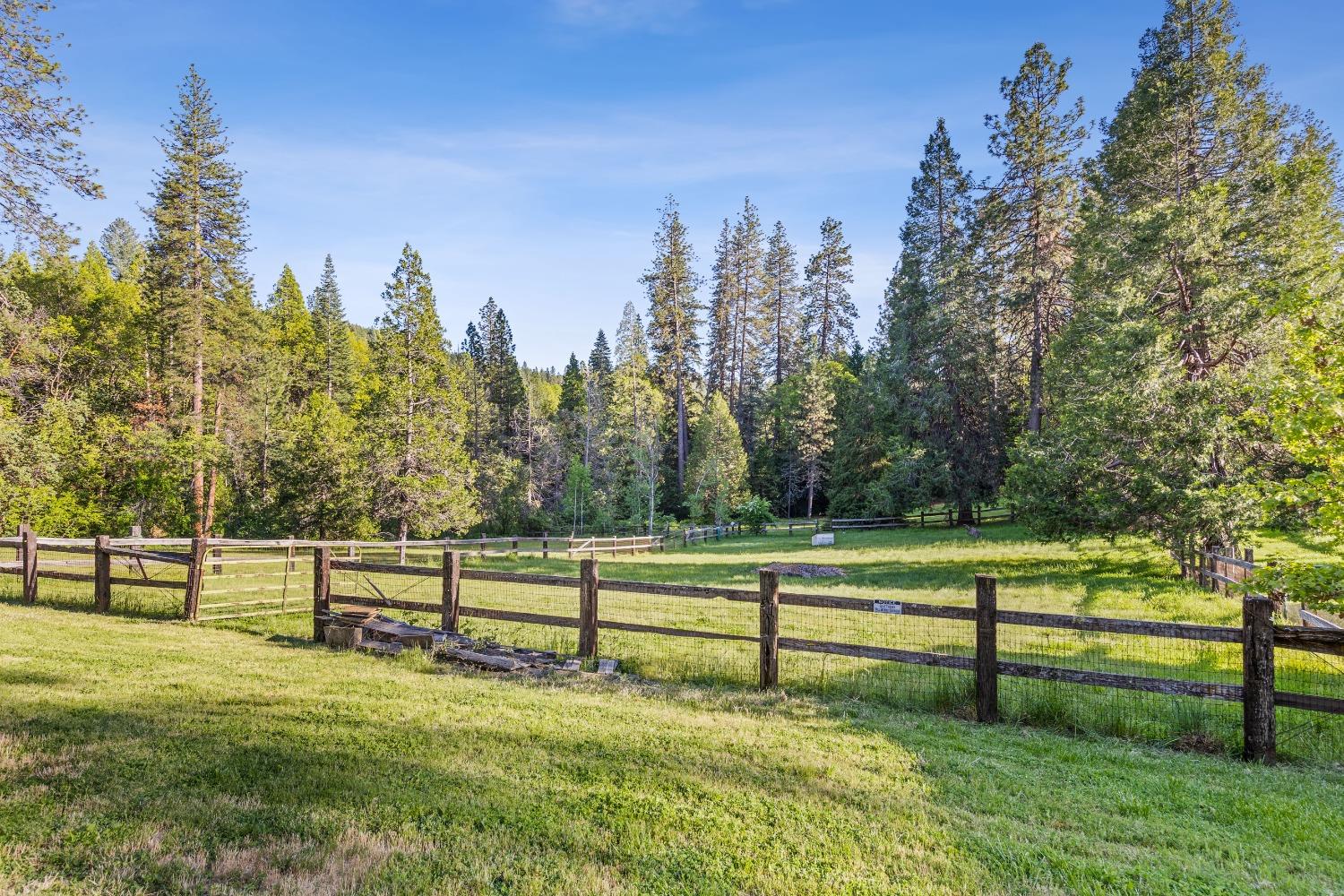 Detail Gallery Image 59 of 79 For 11417 Red Dog Rd, Nevada City,  CA 95959 - 7 Beds | 4/2 Baths