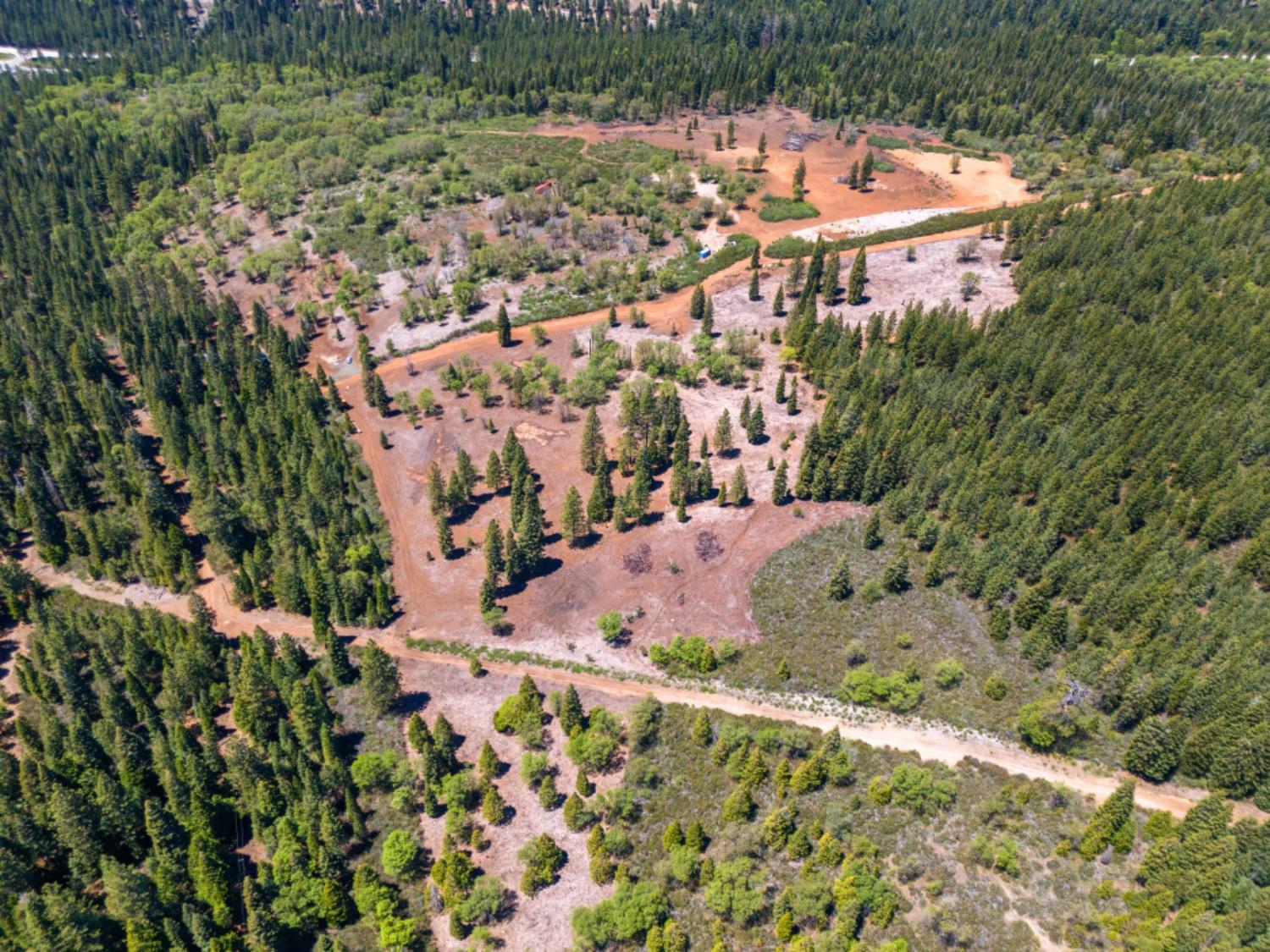 Kearsarge Mill Road, Emigrant Gap, California image 46