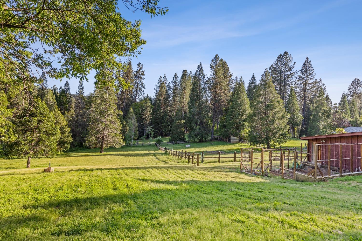 Detail Gallery Image 62 of 79 For 11417 Red Dog Rd, Nevada City,  CA 95959 - 7 Beds | 4/2 Baths