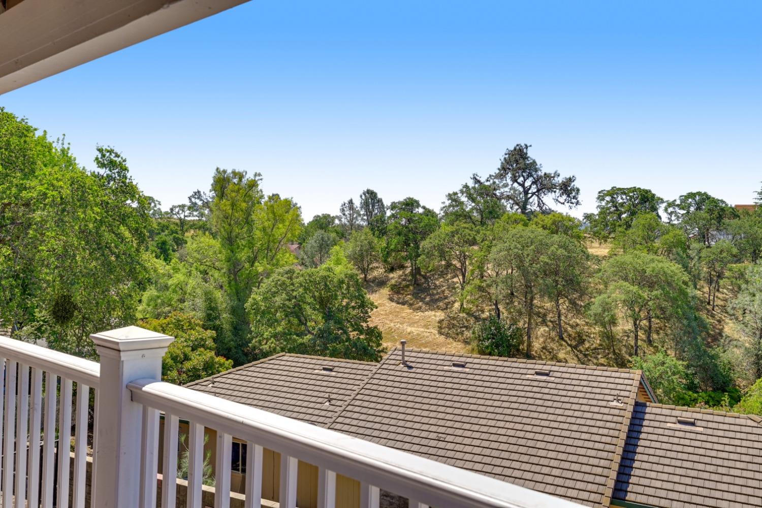 Detail Gallery Image 22 of 45 For 2570 Gold Run Ct, Valley Springs,  CA 95252 - 3 Beds | 2/1 Baths