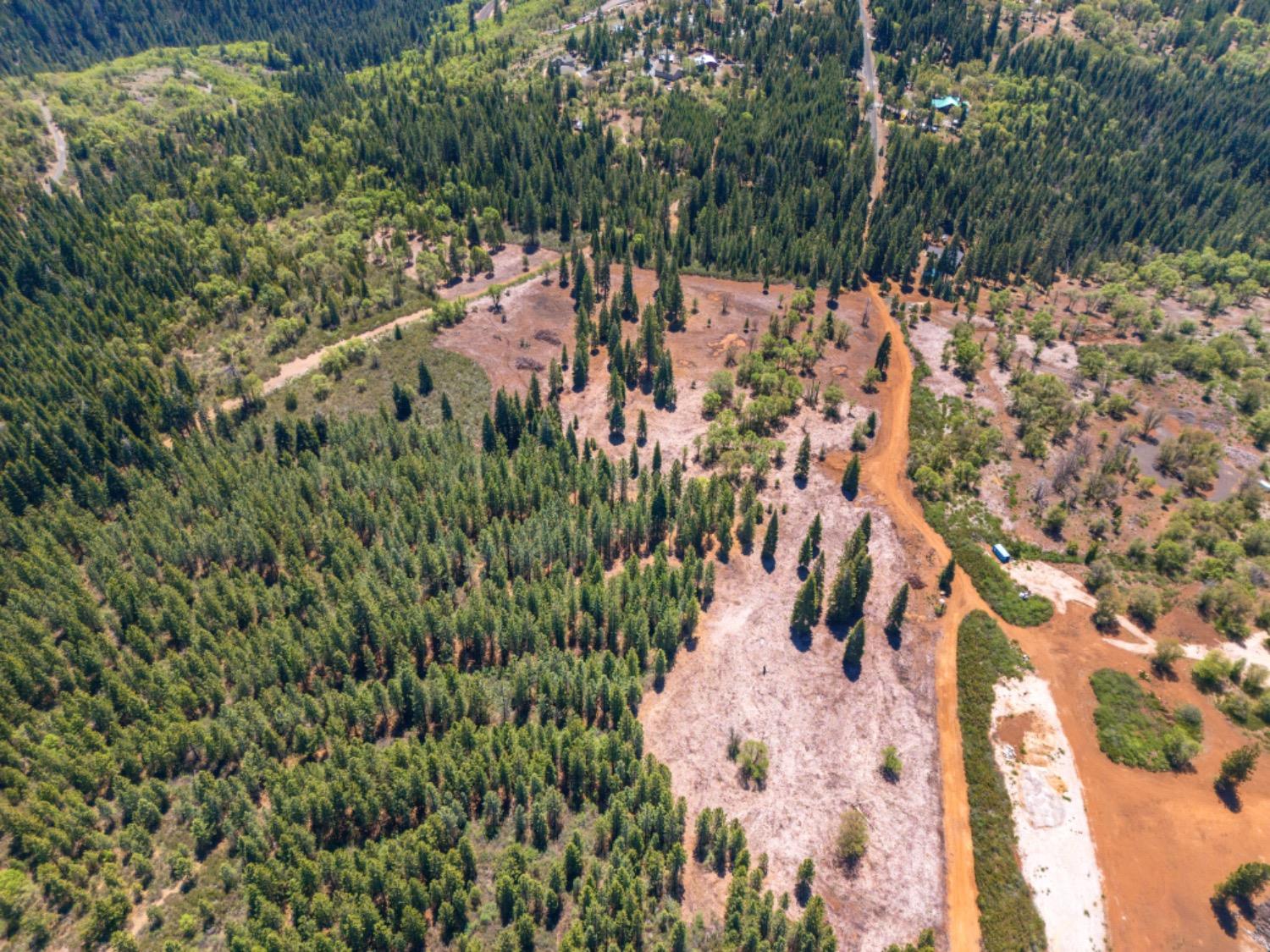 Kearsarge Mill Road, Emigrant Gap, California image 43