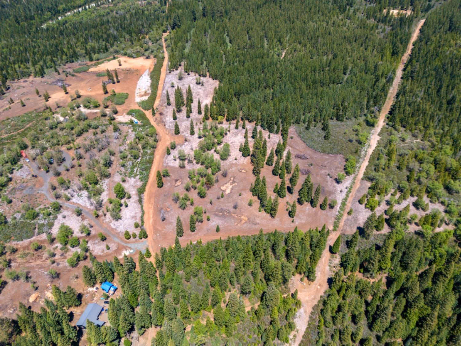 Kearsarge Mill Road, Emigrant Gap, California image 50