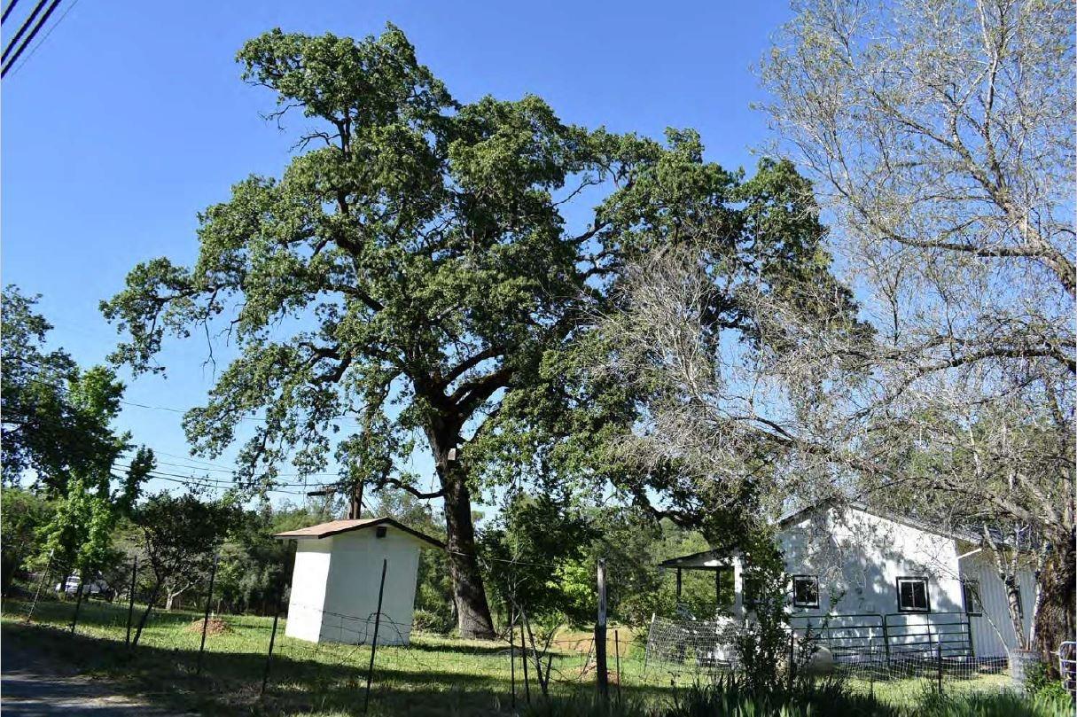 Hillaire Road, Rough and Ready, California image 24