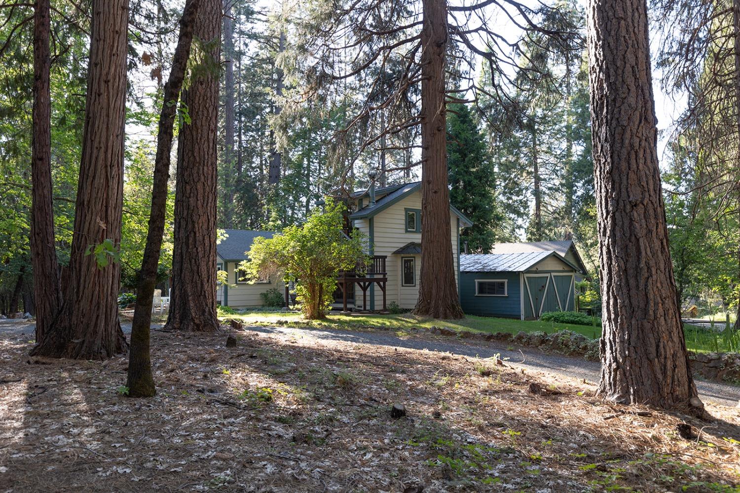 Detail Gallery Image 7 of 44 For 12318 Shady Ln, Nevada City,  CA 95959 - 2 Beds | 2 Baths