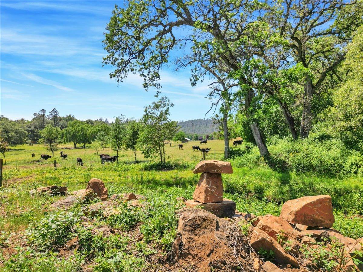 Detail Gallery Image 44 of 91 For 13598 Desperado Dr, Penn Valley,  CA 95946 - 5 Beds | 2/1 Baths