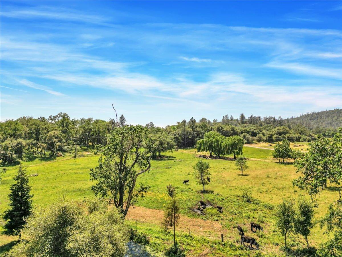 Detail Gallery Image 43 of 91 For 13598 Desperado Dr, Penn Valley,  CA 95946 - 5 Beds | 2/1 Baths