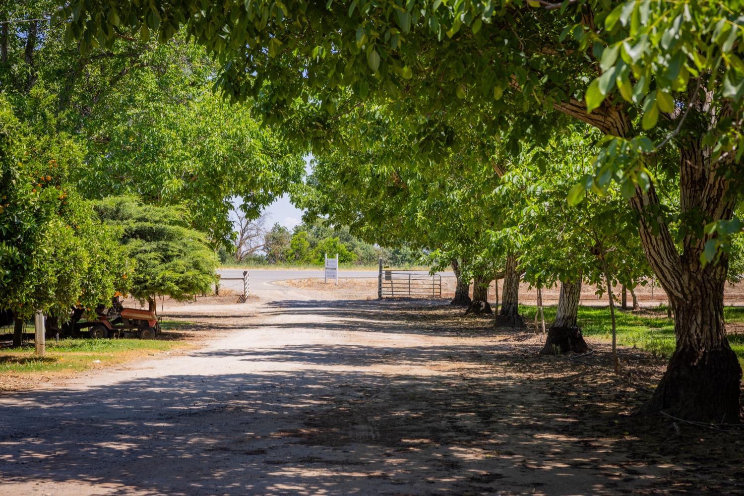 Oakdale Road, Winton, California image 4