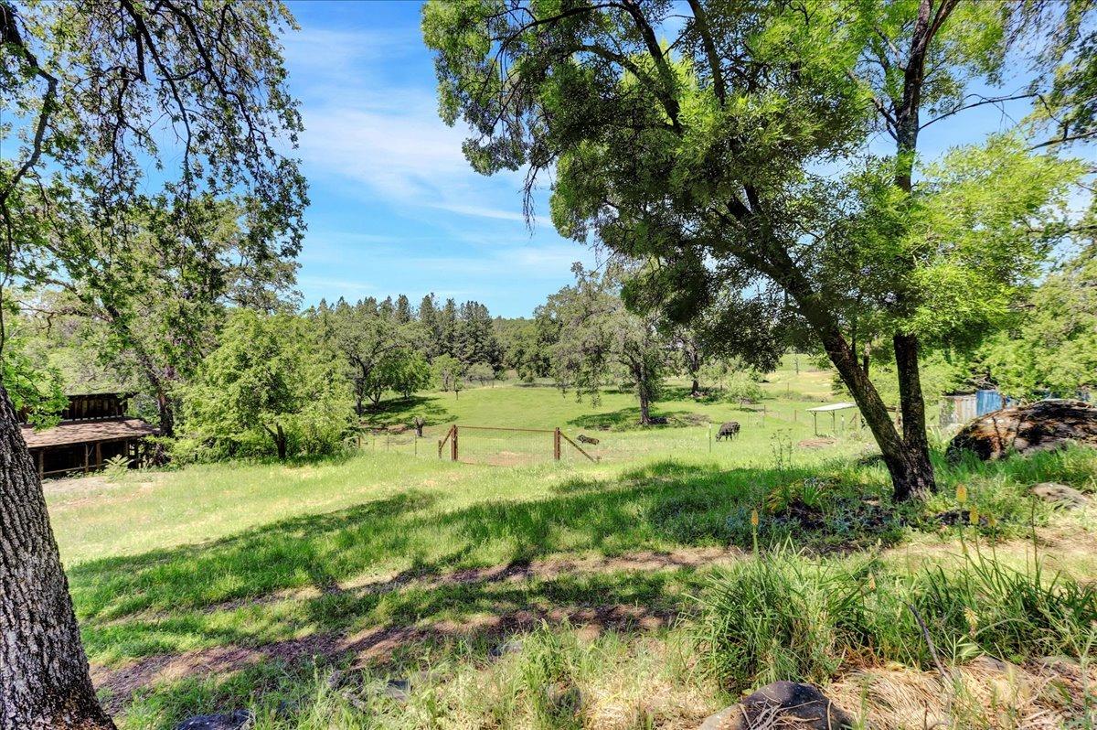 Detail Gallery Image 47 of 91 For 13598 Desperado Dr, Penn Valley,  CA 95946 - 5 Beds | 2/1 Baths