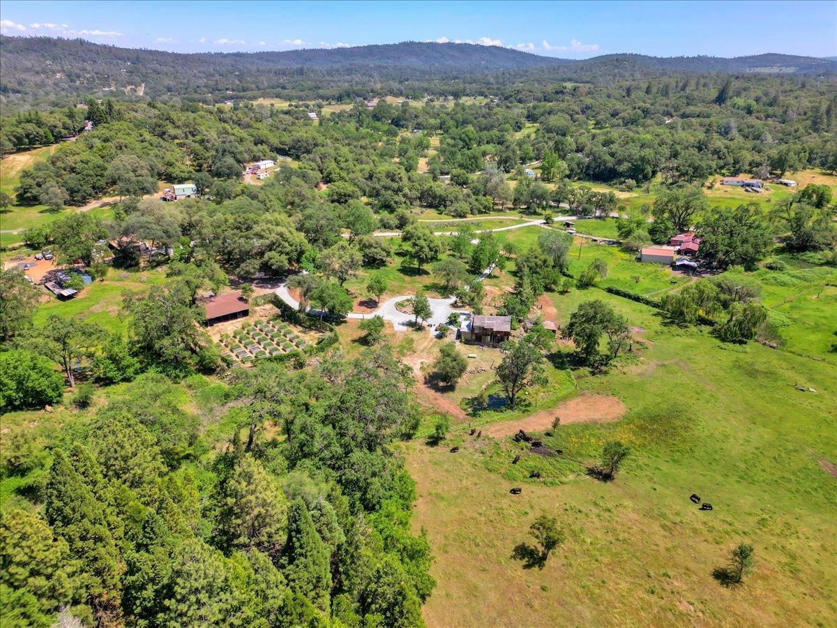 Detail Gallery Image 35 of 91 For 13598 Desperado Dr, Penn Valley,  CA 95946 - 5 Beds | 2/1 Baths