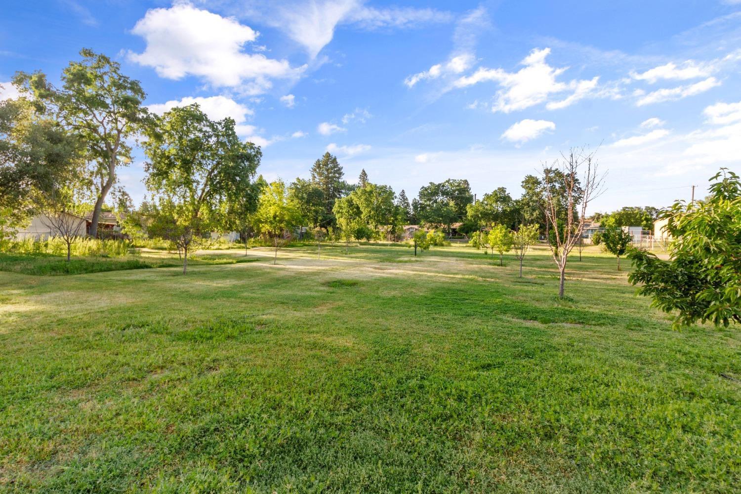 Detail Gallery Image 40 of 53 For 8732 Central Ave, Orangevale,  CA 95662 - 3 Beds | 2 Baths