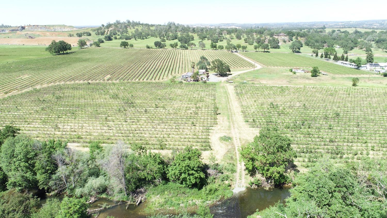 Detail Gallery Image 13 of 29 For 3900 Jackson Valley Rd, Ione,  CA 95640 - 3 Beds | 2 Baths