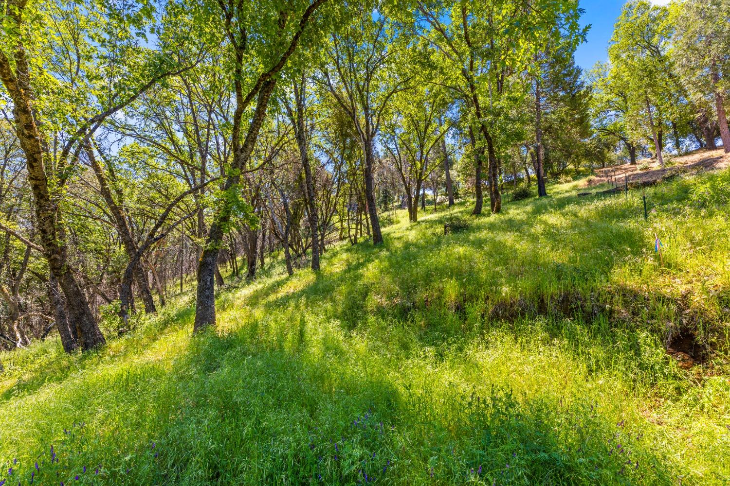 Detail Gallery Image 56 of 77 For 6745 Slug Gulch Rd, Somerset,  CA 95684 - 3 Beds | 2/1 Baths