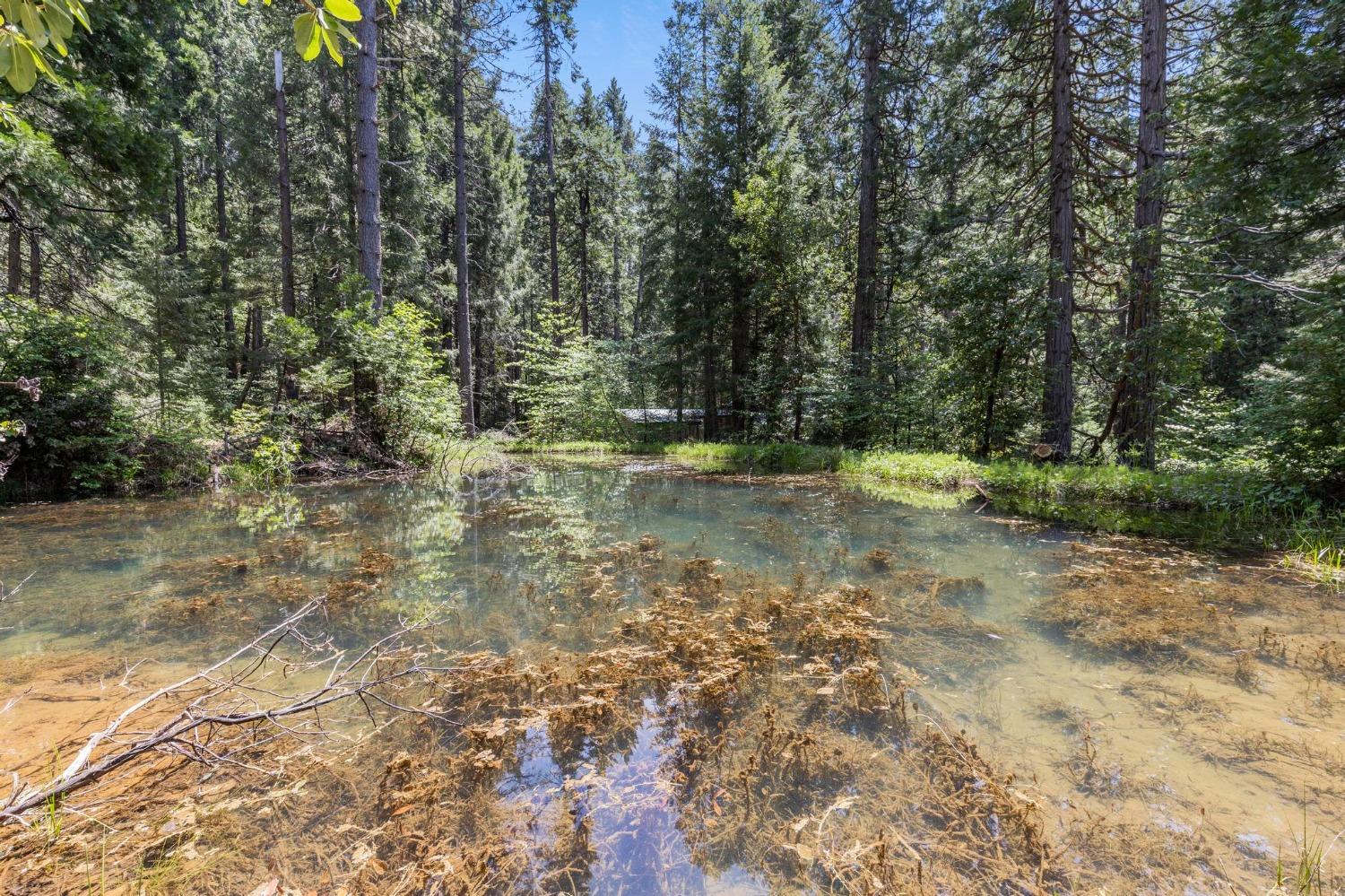 La Porte Road, Strawberry Valley, California image 3