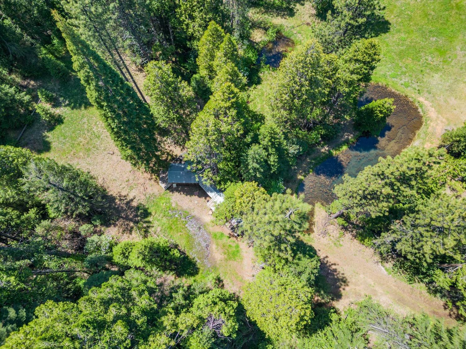 La Porte Road, Strawberry Valley, California image 17