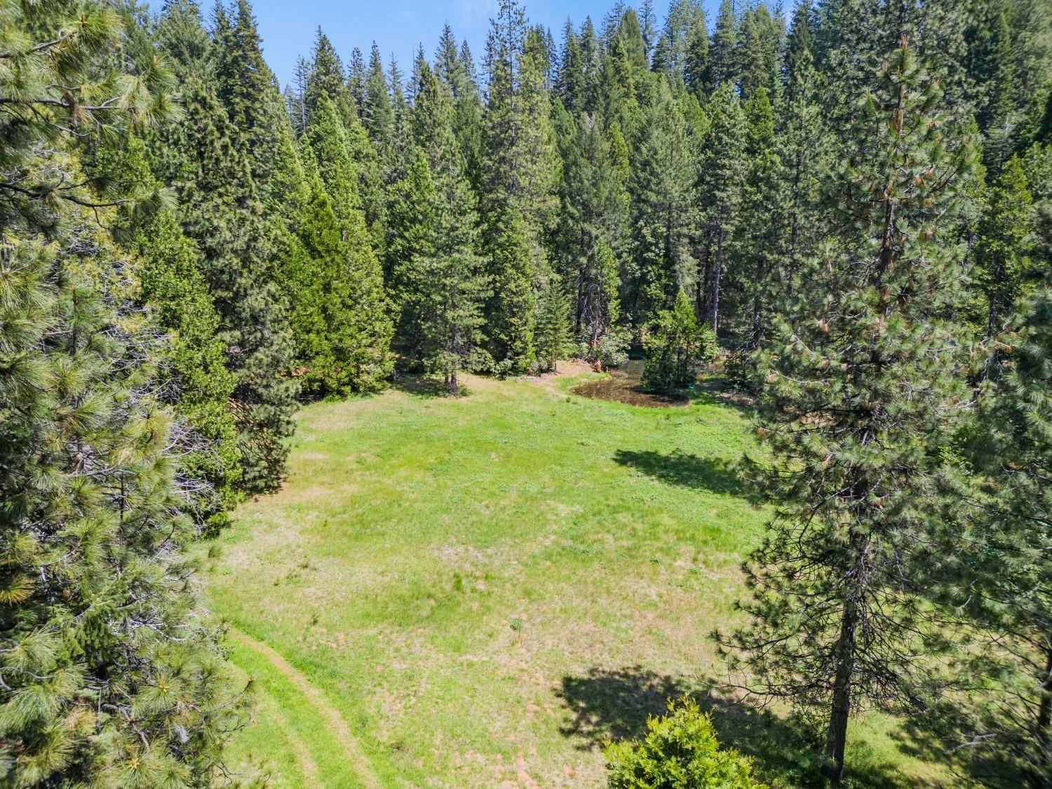 La Porte Road, Strawberry Valley, California image 18