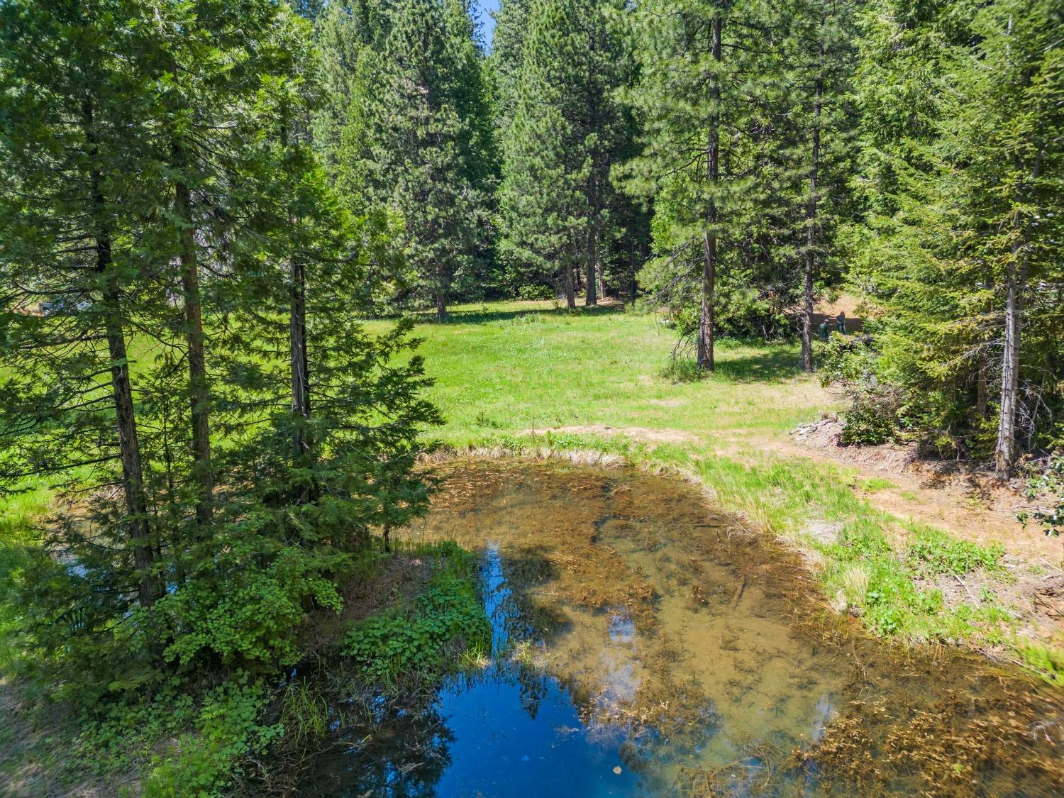 La Porte Road, Strawberry Valley, California image 8