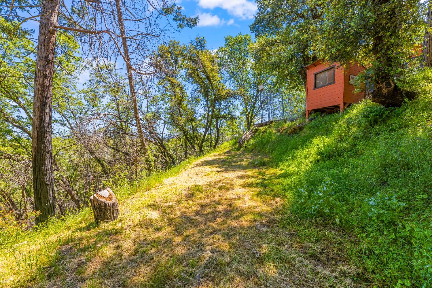 Detail Gallery Image 57 of 77 For 6745 Slug Gulch Rd, Somerset,  CA 95684 - 3 Beds | 2/1 Baths