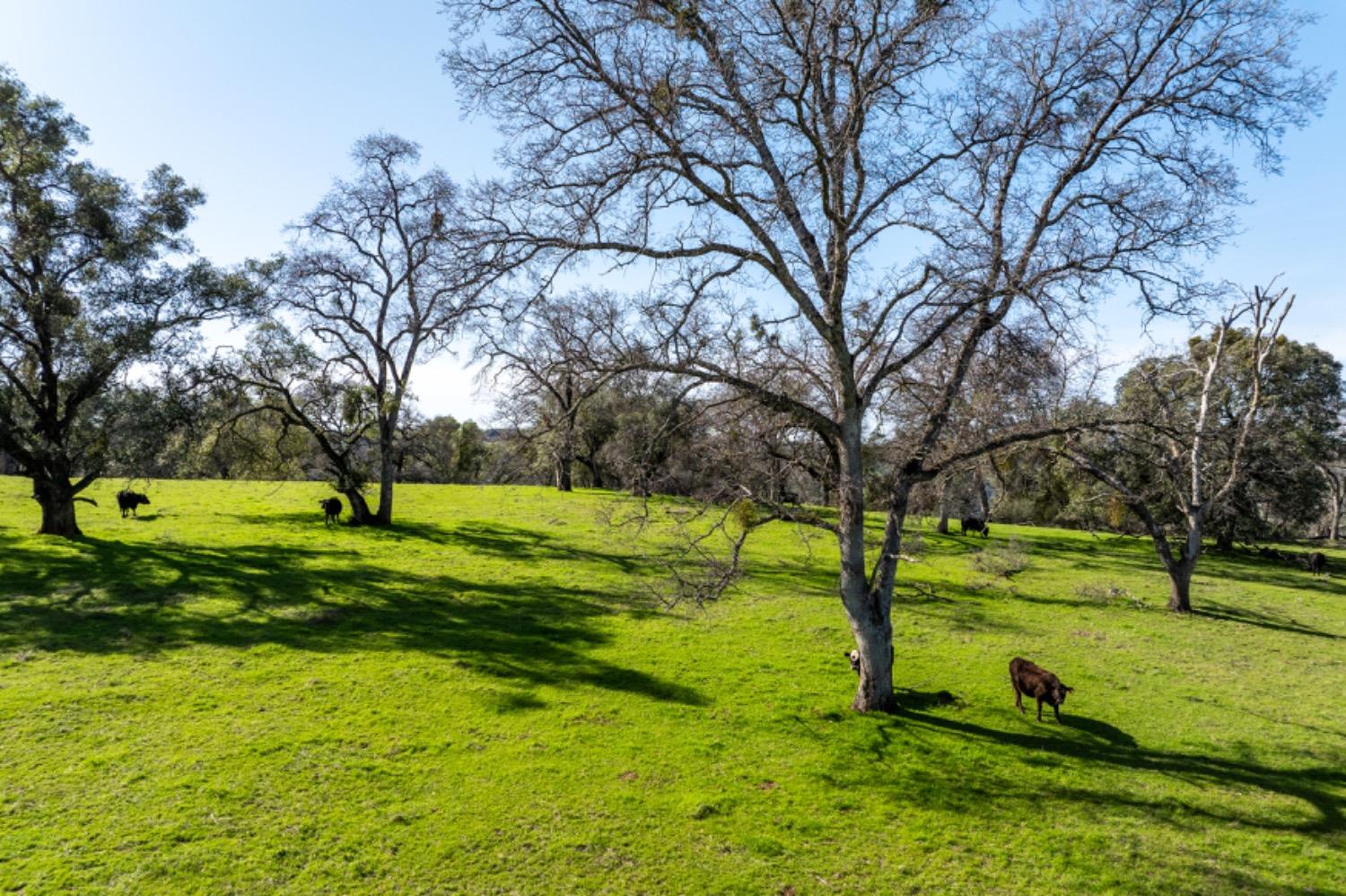 Detail Gallery Image 31 of 34 For 660 Sand Ridge Rd, El Dorado,  CA 95623 - 3 Beds | 2 Baths