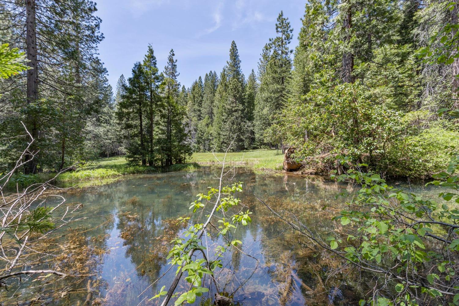 La Porte Road, Strawberry Valley, California image 6