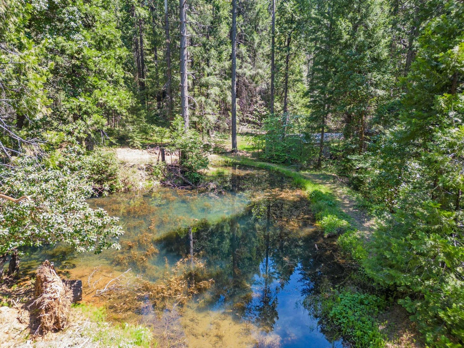 La Porte Road, Strawberry Valley, California image 5