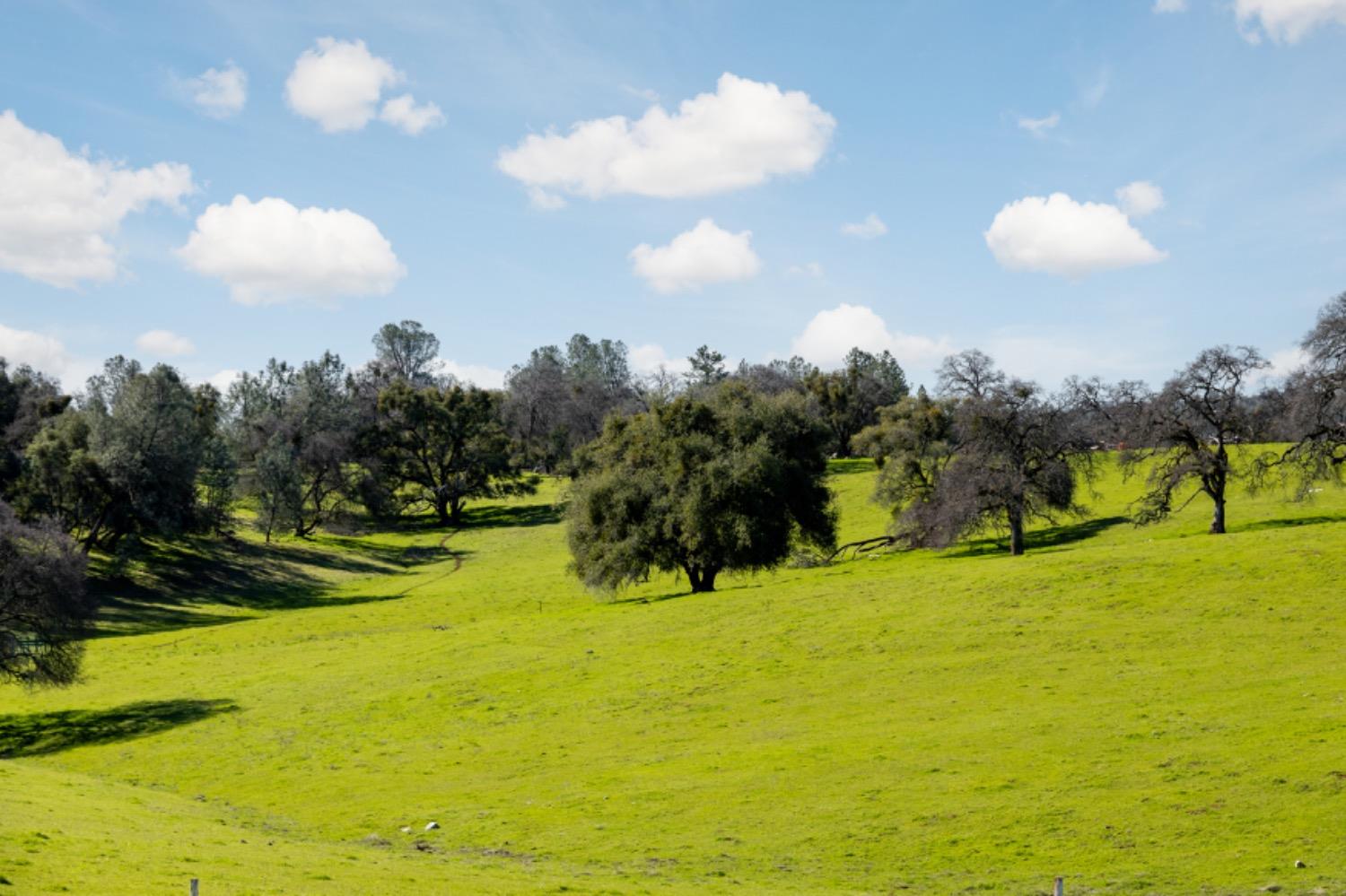 Detail Gallery Image 32 of 34 For 660 Sand Ridge Rd, El Dorado,  CA 95623 - 3 Beds | 2 Baths