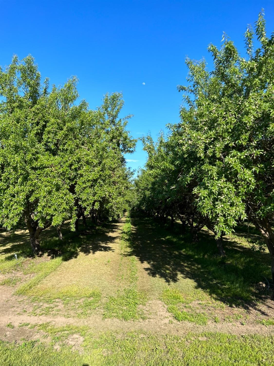 Detail Gallery Image 6 of 23 For 19805 Road 19, Madera,  CA 93637 - – Beds | – Baths