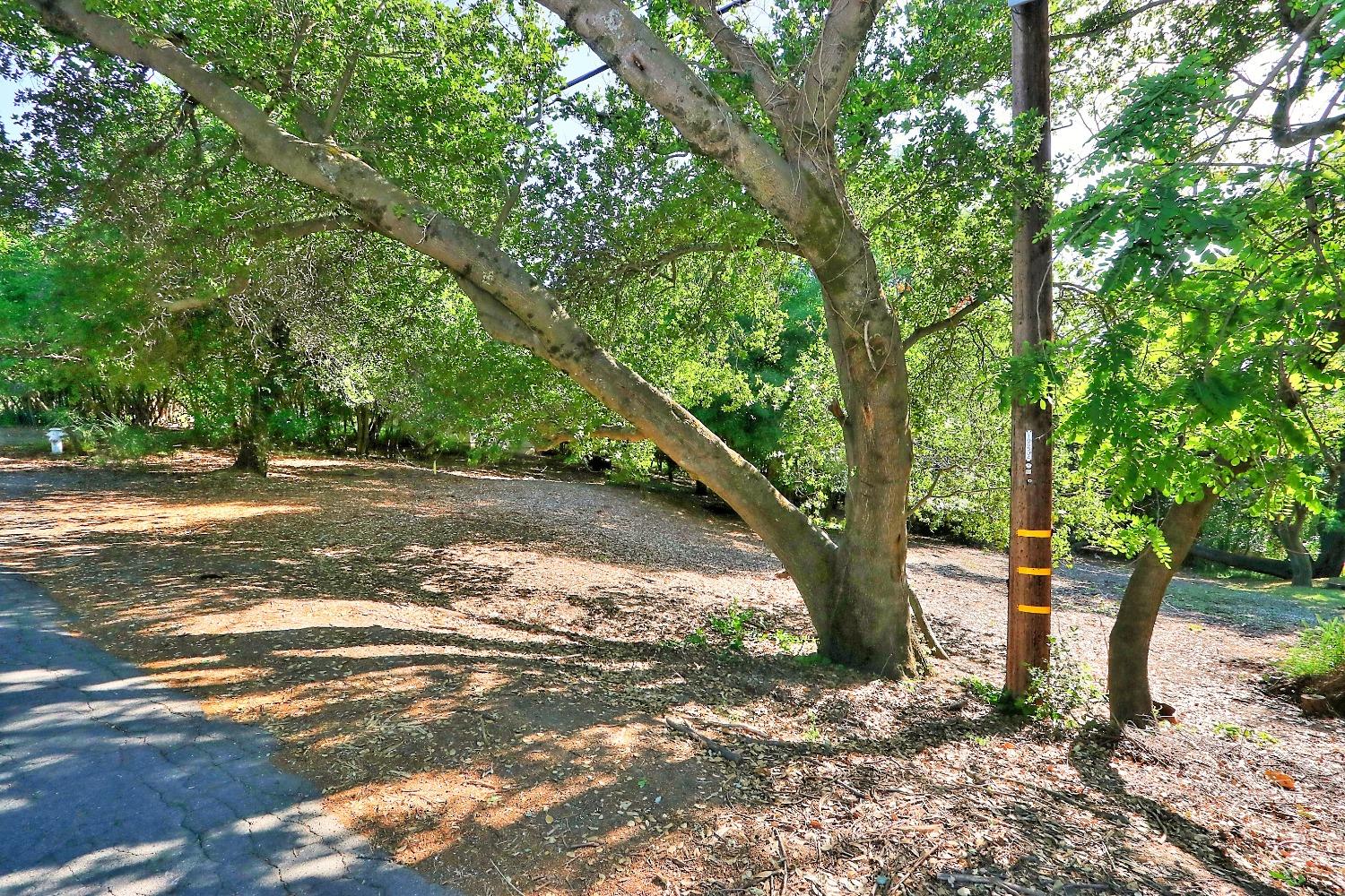 Ridge Street, Fair Oaks, California image 10