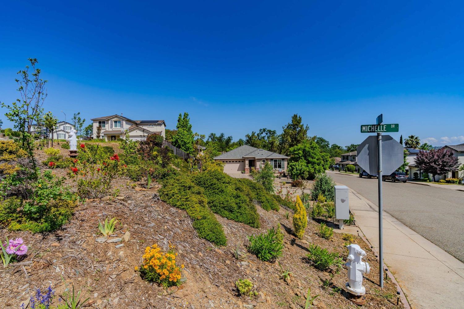 Detail Gallery Image 50 of 57 For 705 Kristi Ct, Jackson,  CA 95642 - 3 Beds | 2 Baths