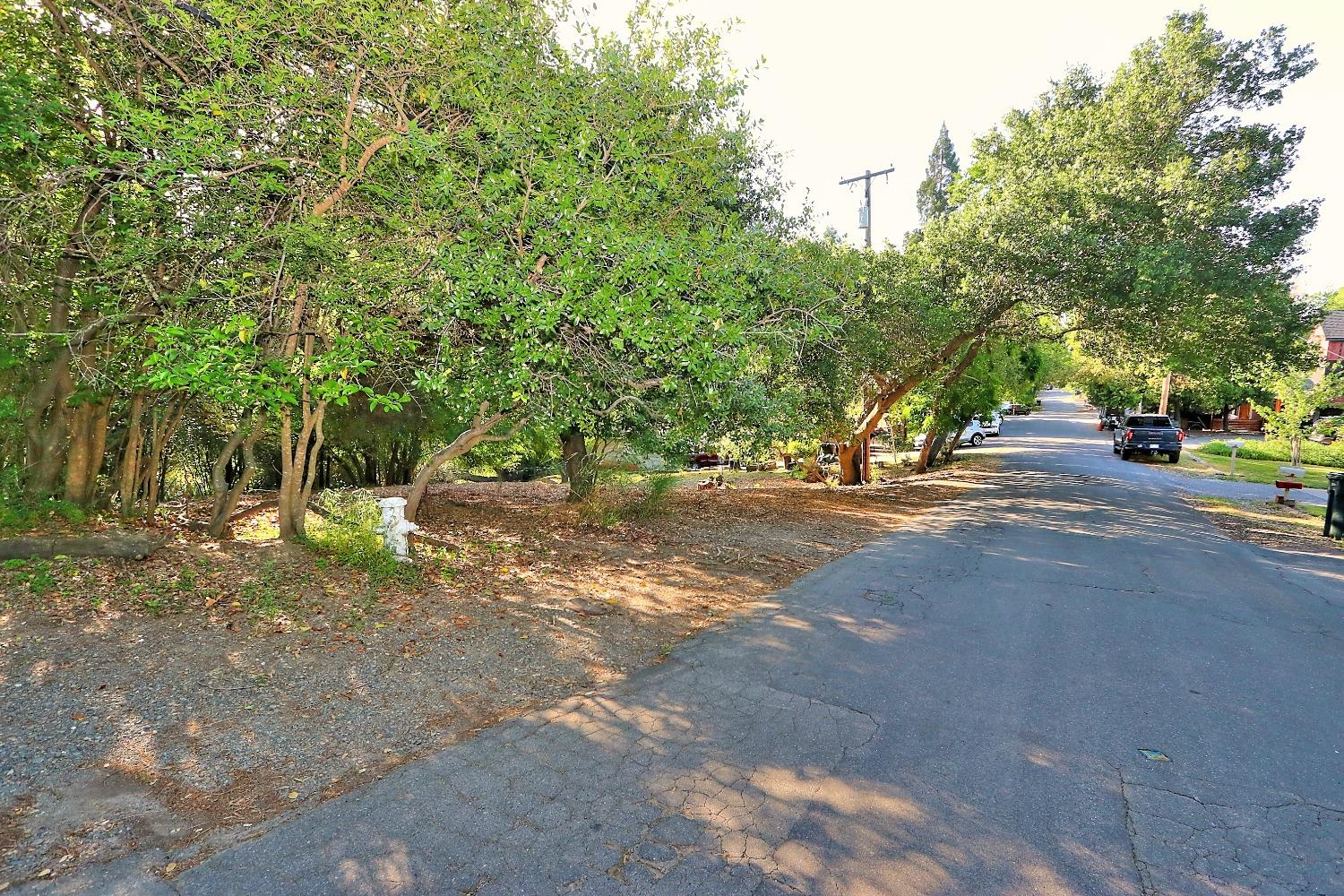 Ridge Street, Fair Oaks, California image 9