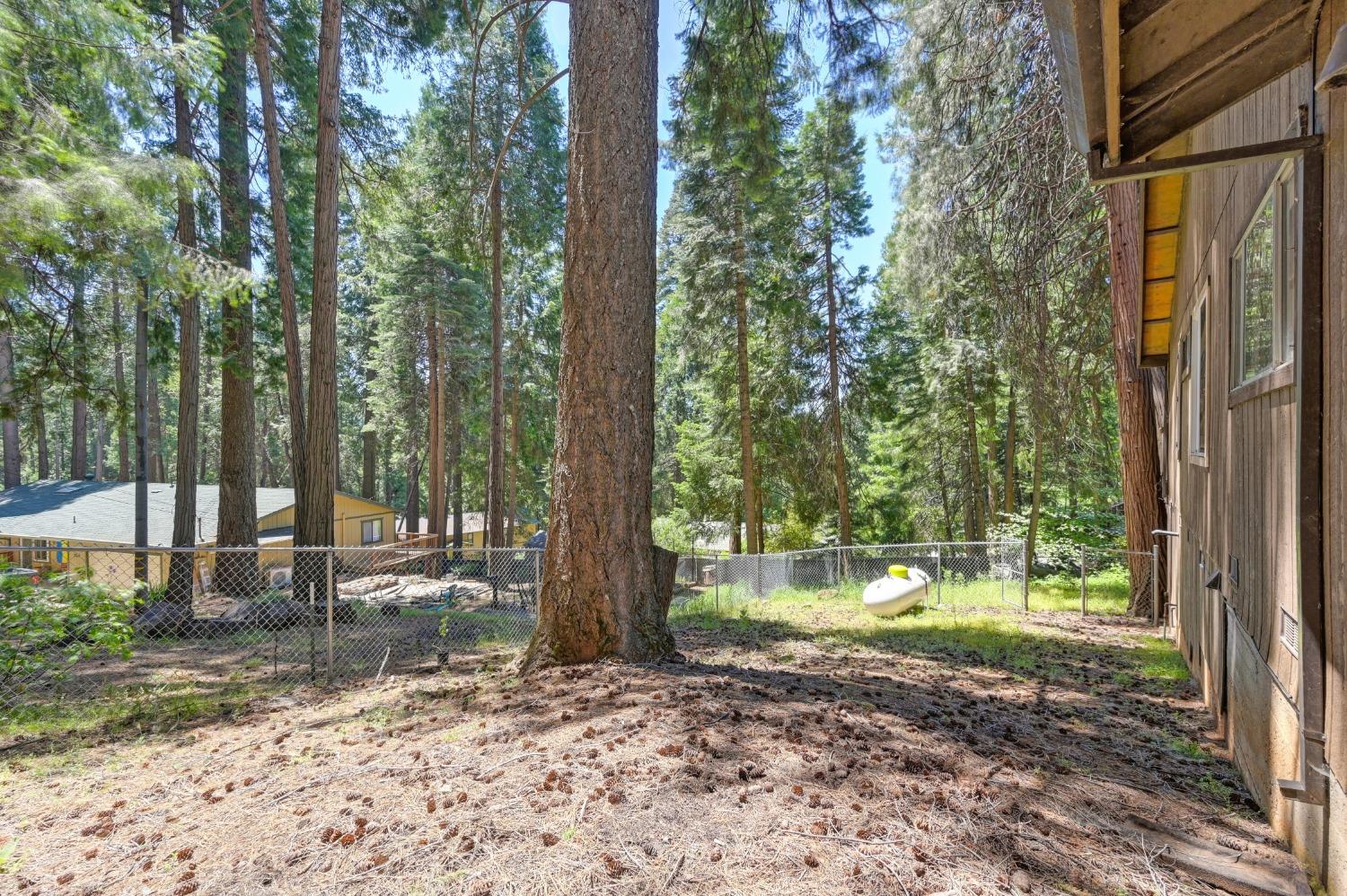Detail Gallery Image 32 of 39 For 2846 Viona Rd, Pollock Pines,  CA 95726 - 3 Beds | 2 Baths