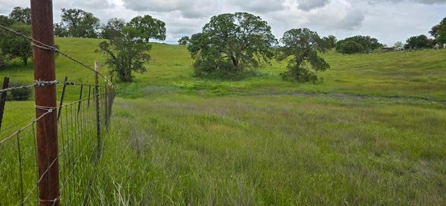 Detail Gallery Image 4 of 8 For 10526 Limestone Dr, Wallace,  CA 95254 - – Beds | – Baths