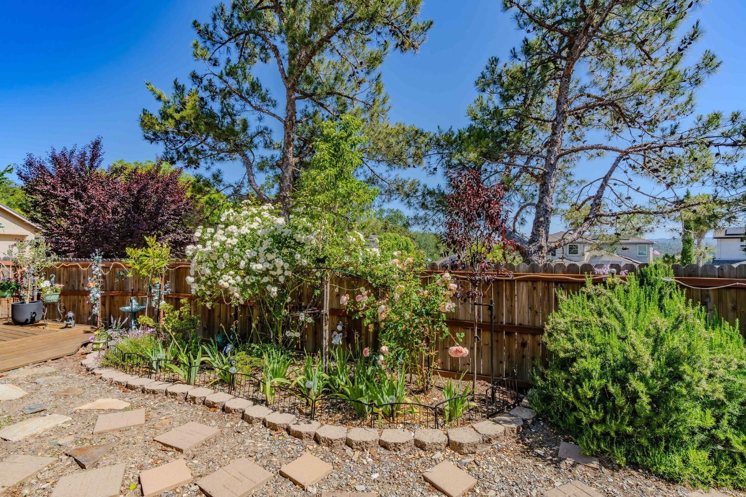 Detail Gallery Image 36 of 57 For 705 Kristi Ct, Jackson,  CA 95642 - 3 Beds | 2 Baths