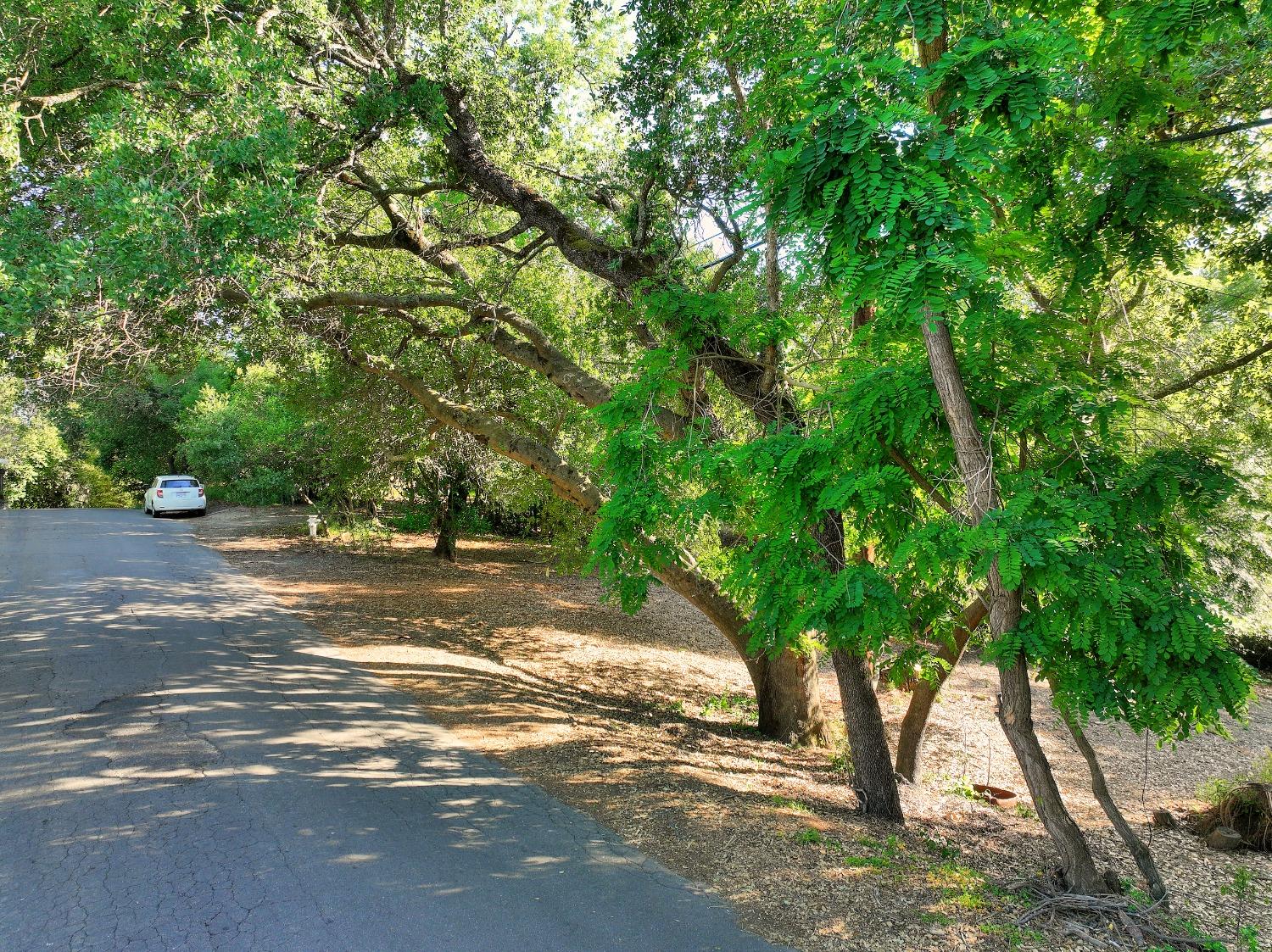 Ridge Street, Fair Oaks, California image 8